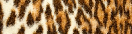 Ambiente Leopardo