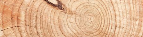 Ambiente Tronco Madera Ambiente Tronco Madera