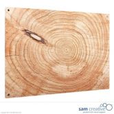 Pizarra de Vidrio Serie Tronco Madera 60x90 cm